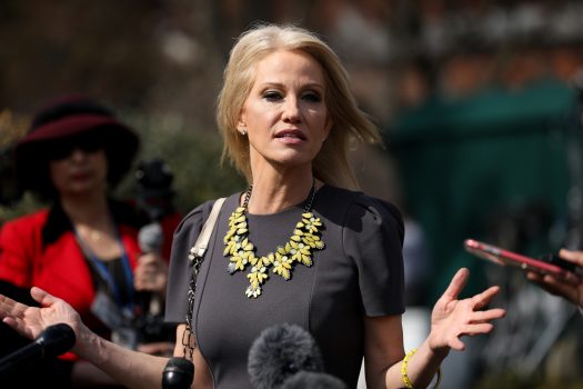 White House Calls Subpoena of Kellyanne Conway a ‘Purely Political’ Effort by Dems to ‘Harass the President’