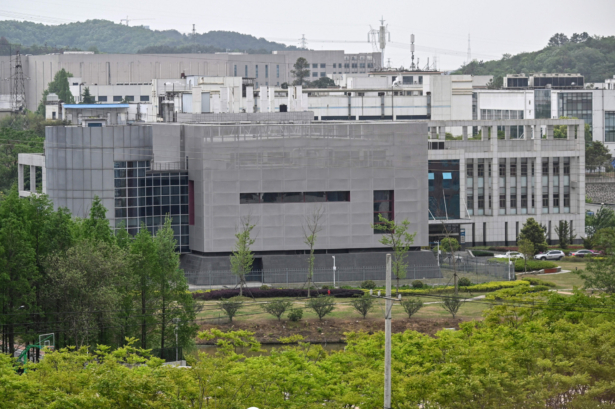 P4 laboratory Wuhan Institute of Virology