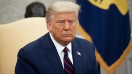 Trump Laments Arrest of Bannon, Denounces Private Border Wall Project