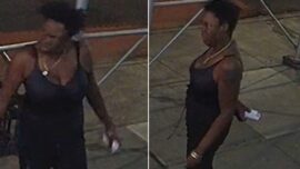 Woman Attacks Two People With Hammer in NYC