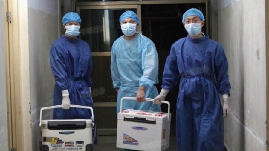 Taiwan Hospital Displaced Doctors for Conduction Organ Harvesting in China