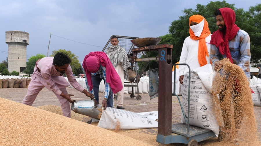 India Bans Wheat Exports Over Food Security Concerns