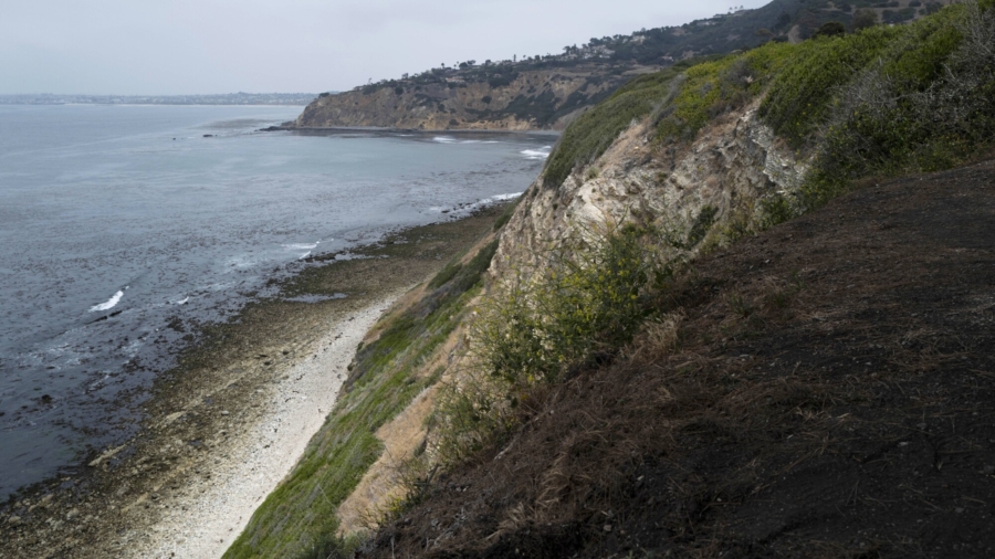 4 People Fall Off California Cliff; 1 Dead and 2 Badly Hurt